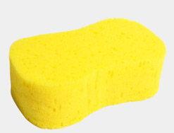 Wash sponge